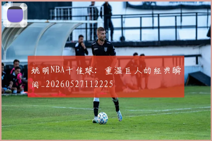 姚明NBA十佳球：重温巨人的经典瞬间_20260527112225